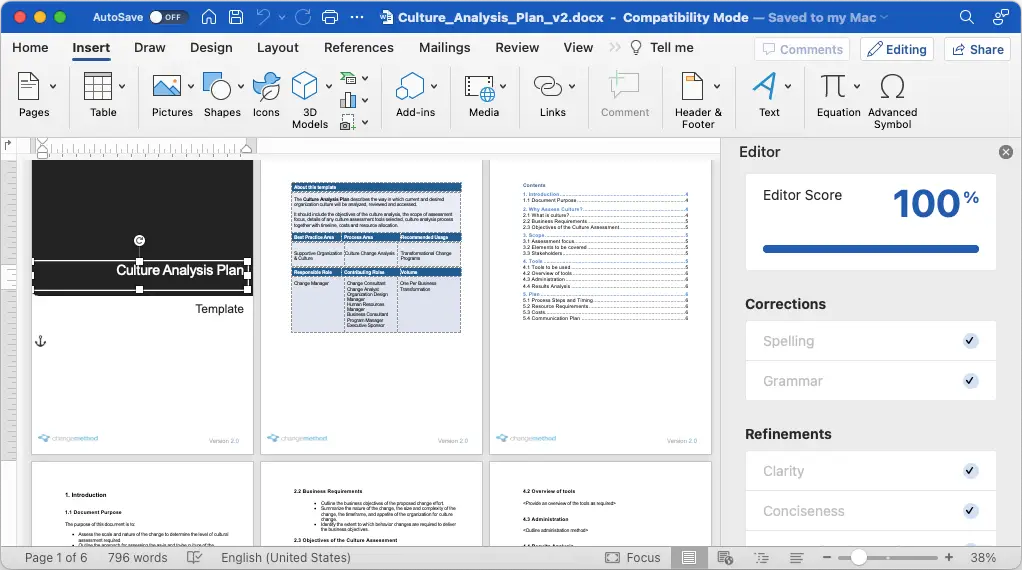 Culture Analysis Plan