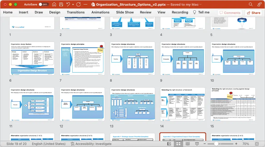 Organization Structure Options