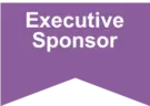Executive-sponsor-roles-within-a-change-management-program-change-management-methodology