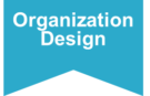 Organization-design-roles-within-a-change-management-program-change-management-methodology