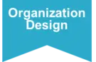 Organization-design-roles-within-a-change-management-program-change-management-methodology