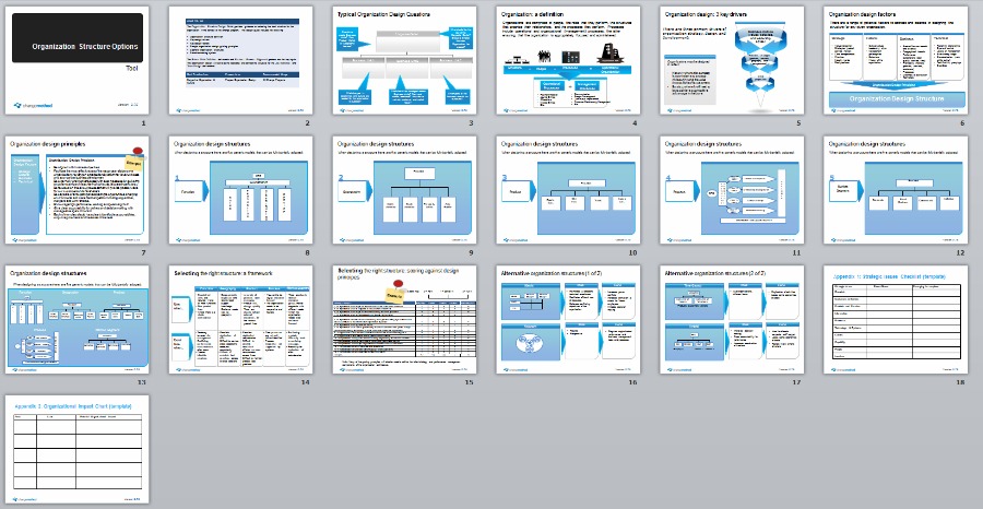 organization-structure-options-jpg